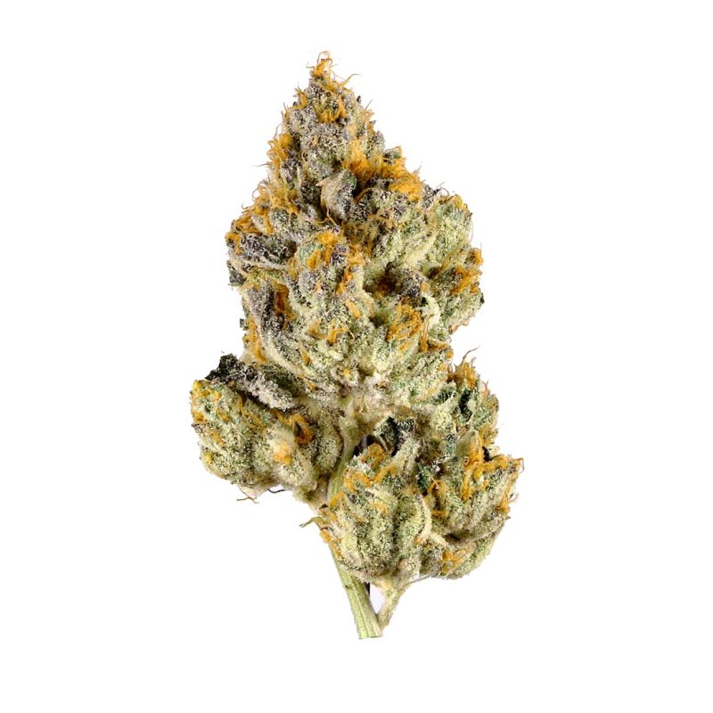Gorilla Glue GG4